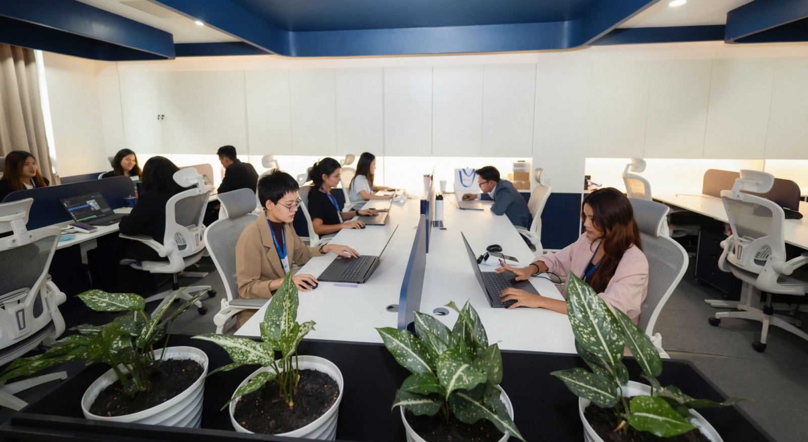 CYNEXIX colleagues working at their laptops in the open-plan office
